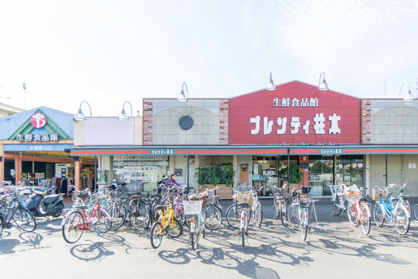 柱本小-22020934