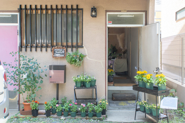 merryplants20240619103114