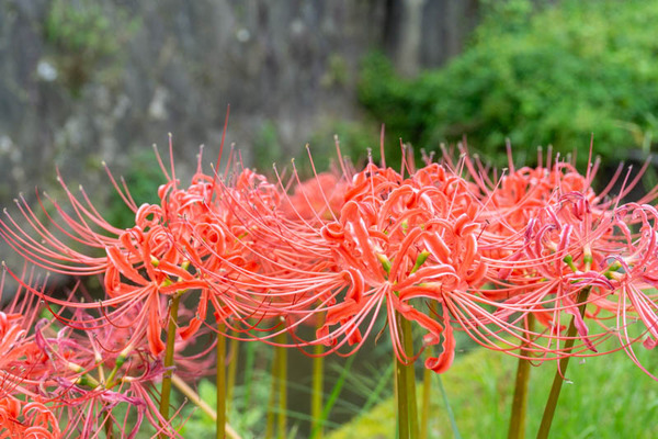 樫田20210920113946