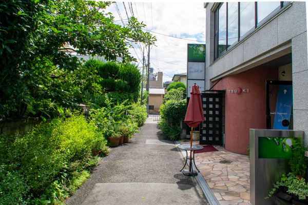 GREEN MIND-202107152