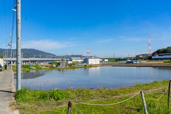 クイズ-2010271