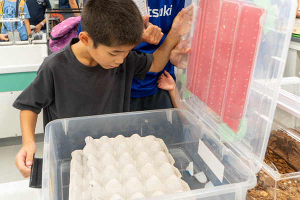 高槻高校文化祭20240915105203