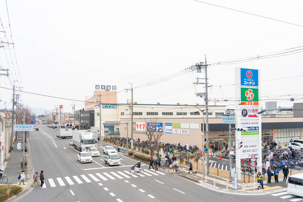 枚方大橋-2501151