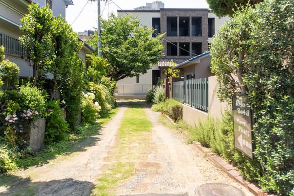 merryplants20240619103219