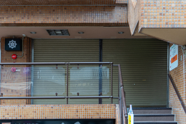 なでしこ-2011112