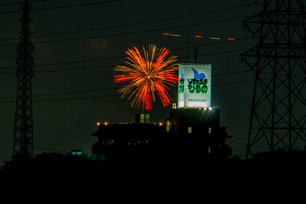 はなび-24080313