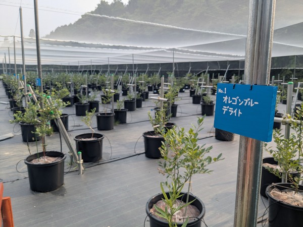 PXL_20250705_072721629