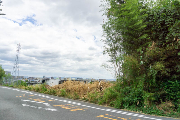 竹藪20210810123427