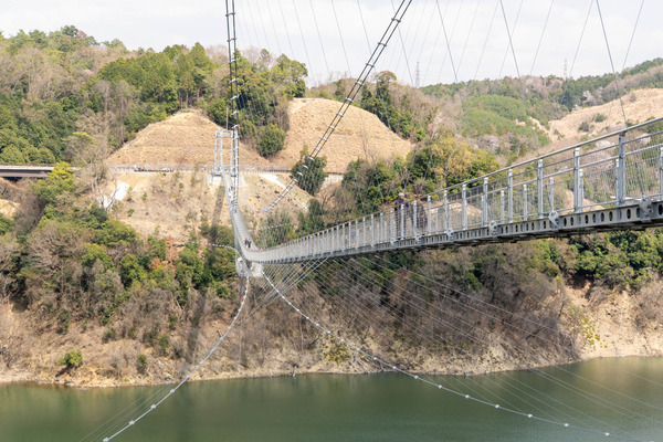 GRAVITATE20250407132413