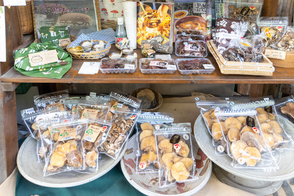 しいたけ狩り20251023101350