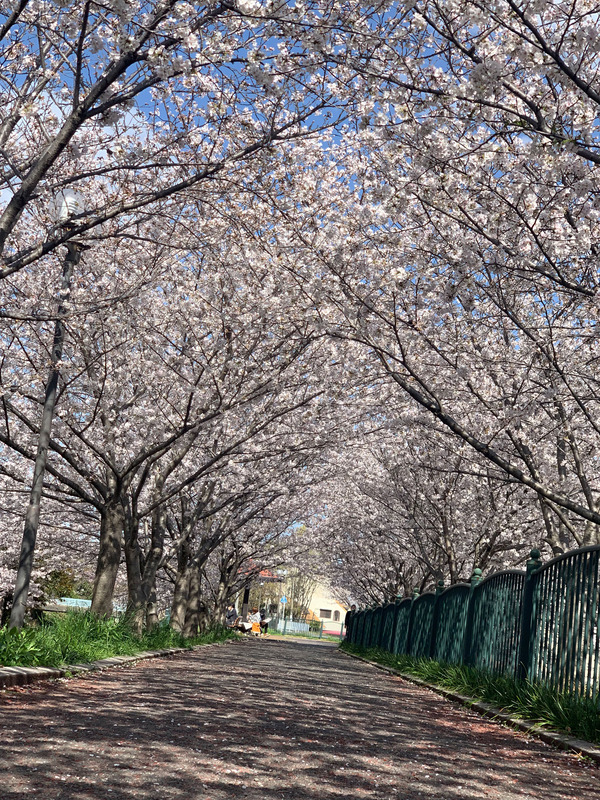 3070ECBF-EE55-411F-AE29-AB9A092F7F46