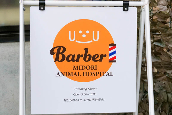 バーバーみどり動物病院-202201291