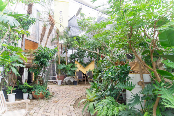 THEFARM20230822112730