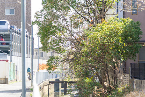 南松原町路地20230323011128