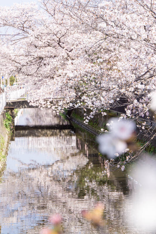 ミドリ町20230401024732