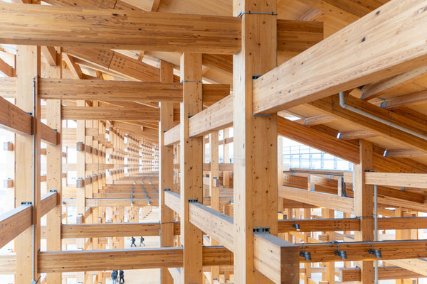 万博20250228165004