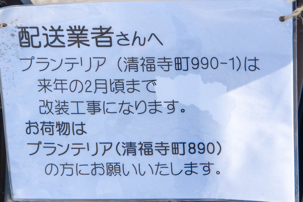プランテリア20240123121905