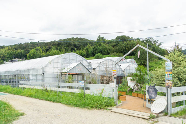 THEFARM20230822103248