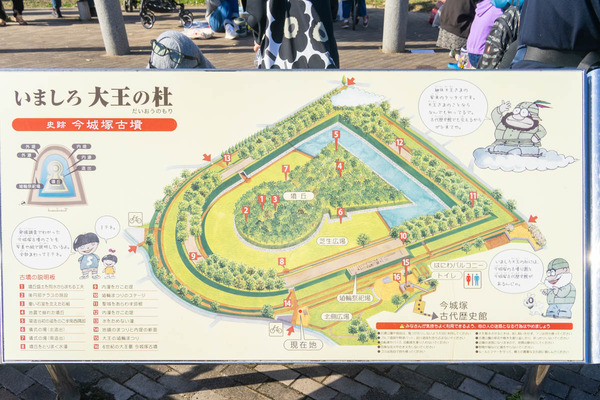 はにこっと-2211271