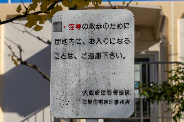 犬は許された-2011241