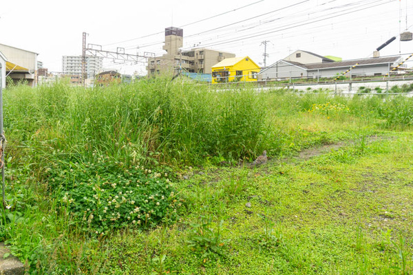 駅前農園20210520090127