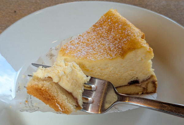 PXL_20250307_033659613-2