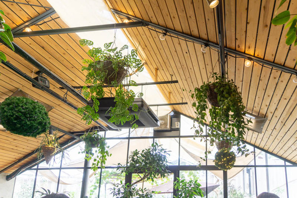 THEFARM20230822122329