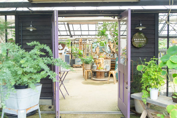 THEFARM20230822110008