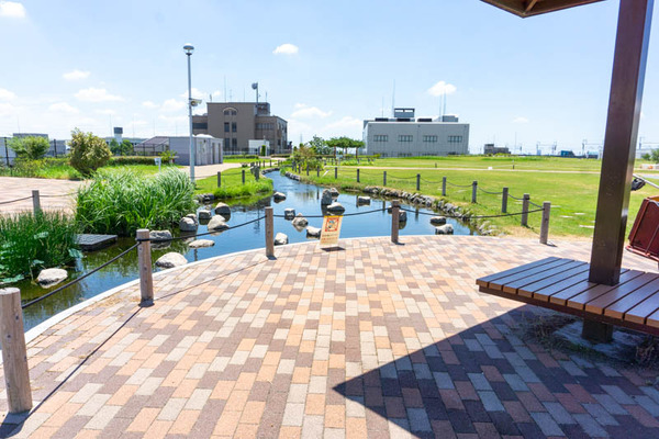 せせらぎ公園-2021080534