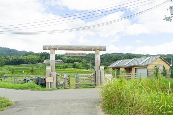 THEFARM20230822104718