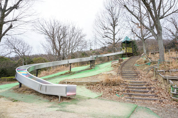 摂津峡公園-2023032170