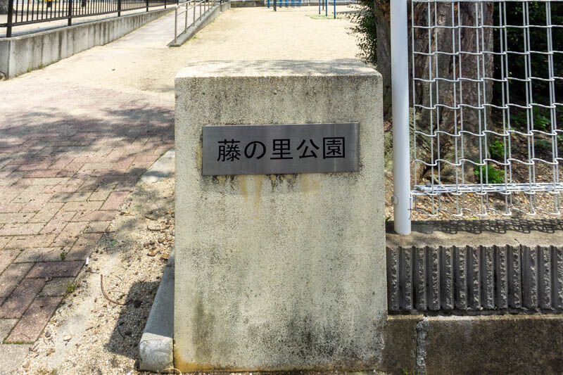 藤の里公園に世界のひまわりが大集合するみたい。見頃は夏 高槻つーしん