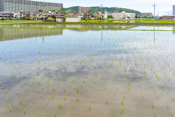 淀の原町-2305301
