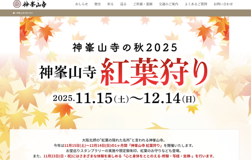 スクリーンショット 2025-11-21 10.16.05