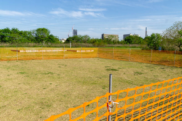 ドッグラン20230428033625