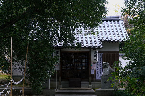 神社-20122416