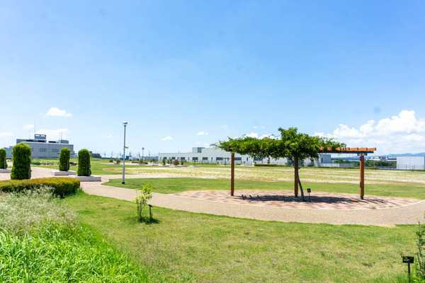 せせらぎ公園-2021080533