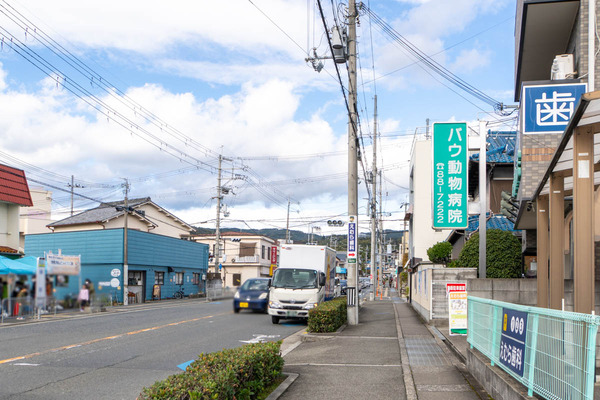 ukiuki20231118111219
