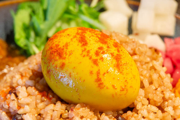 MYCURRY20231016114254