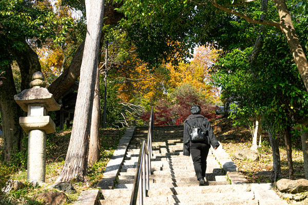 日吉神社-2012115
