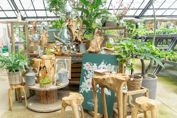 THEFARM20230822110017