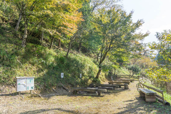 とまり木20211028120752