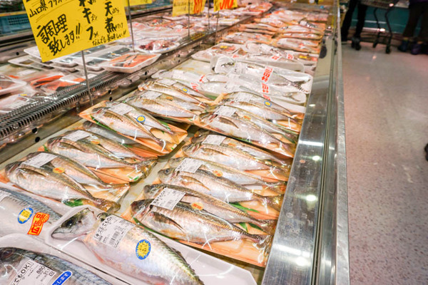 たこ一4-202112143