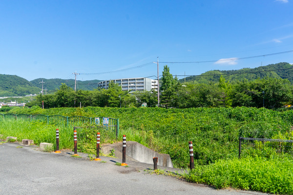 ★水無瀬川・島本水の文化園-2107212