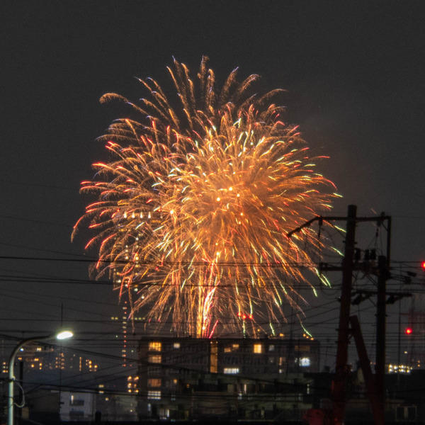 花火20250803195746