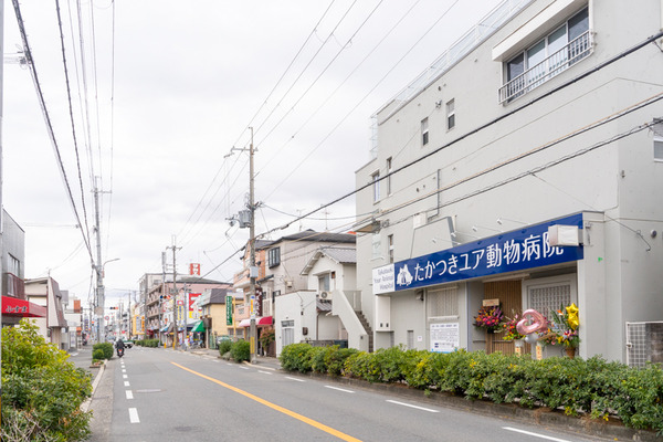 たかつきユア動物病院-2102081