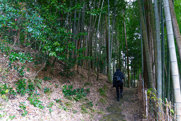 稲荷神社-2012112