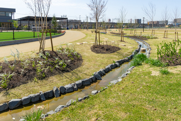 安満遺跡公園-21032452