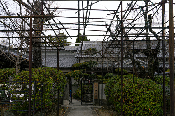 三輪神社-20121515