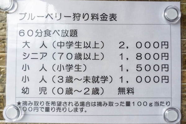 ブルーベリー20220621102826